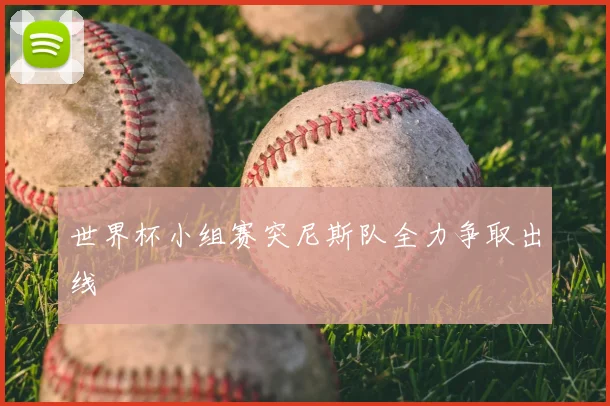 世界杯小组赛突尼斯队全力争取出线