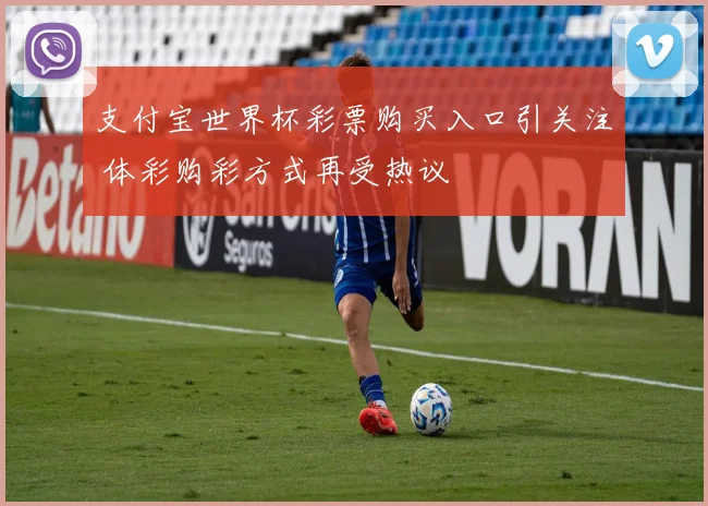 支付宝世界杯彩票购买入口引关注 体彩购彩方式再受热议