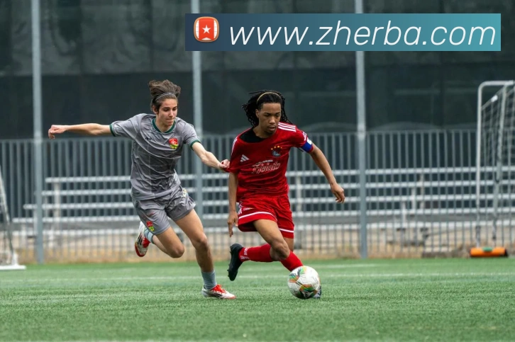 世界杯官网登录app平台生态图