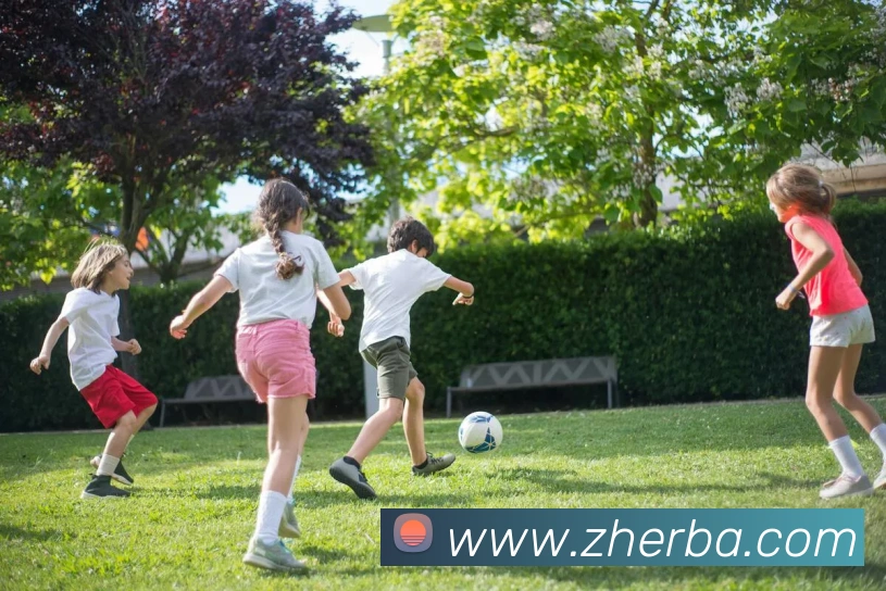 世界杯官网登录appAPP 封面图